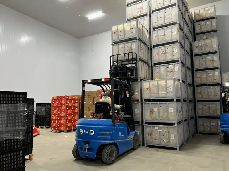 Plastic Lined Pallet Box